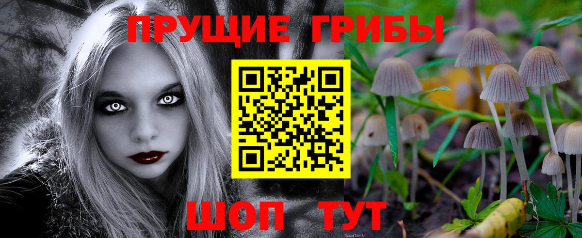 Усолье-Сибирское  Псилоцибиновые грибы Psilocybine cubensis  Вход с VPN  Псилоцибиновые грибы Cubensis 