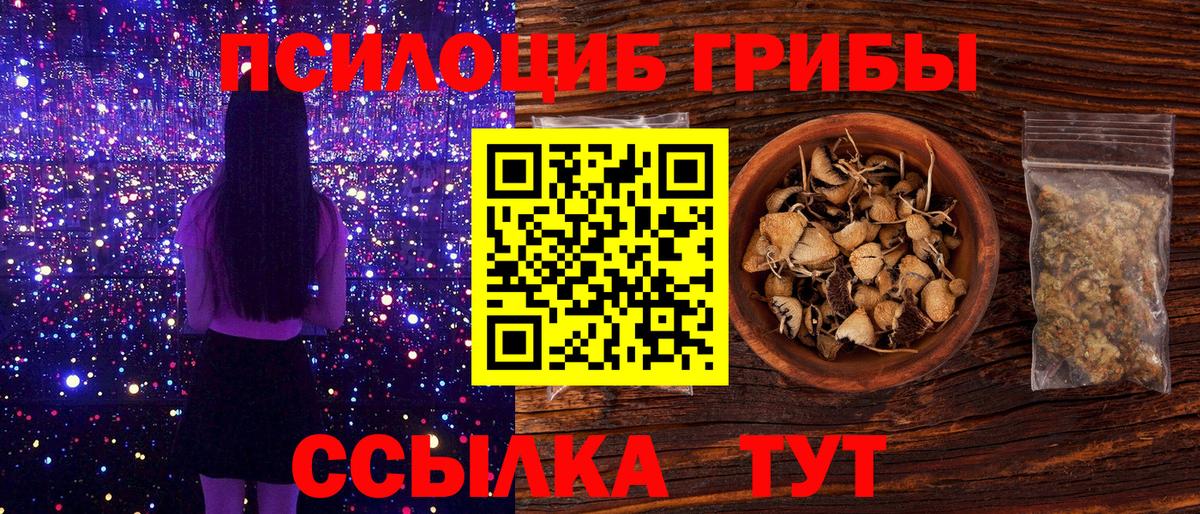 Псилоцибиновые грибы мухоморы Усолье-Сибирское